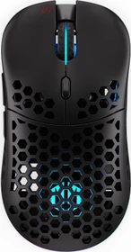 Endorfy LIX Wireless, schwarz, USB