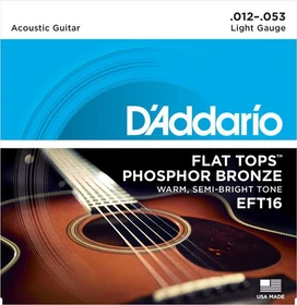 D'Addario Phosphor Bronze Flat Tops Light