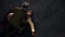 L.A. Noire: The VR Case Files (Download) (VR) (PC) Vorschaubild