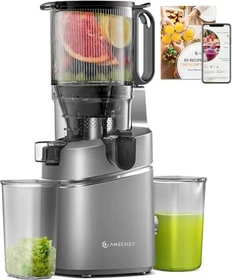 Amzchef SJ-036 All-In-One Slow Juicer grau