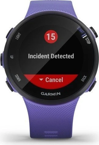 Garmin Forerunner 45S iris