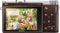 Samsung NX3000 braun mit Objektiv NX 16-50mm 3.5-5.6 ED PZ OIS i-Function Vorschaubild