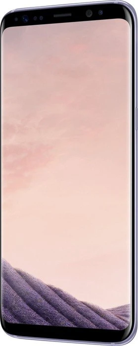 Samsung Galaxy S8 G950F grau