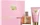 Gisada Ambassador Women EdP 50ml + Duschgel 100ml Duftset