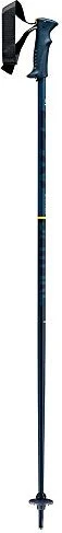 Leki Spitfire Lite Alpin Skistock (Junior) (Modell 2021/2022)