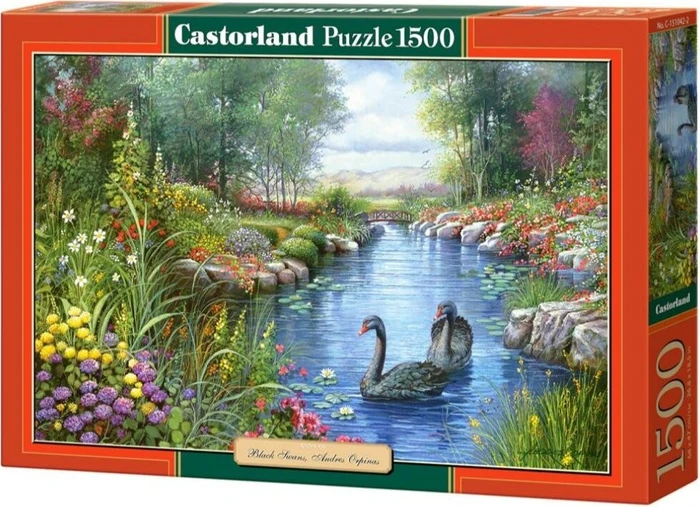 Castorland Black Swans Andres Orpinas