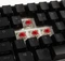 Ducky One 2 Mini RGB PBT, LEDs RGB, schwarz, MX RGB RED, USB, DE Vorschaubild