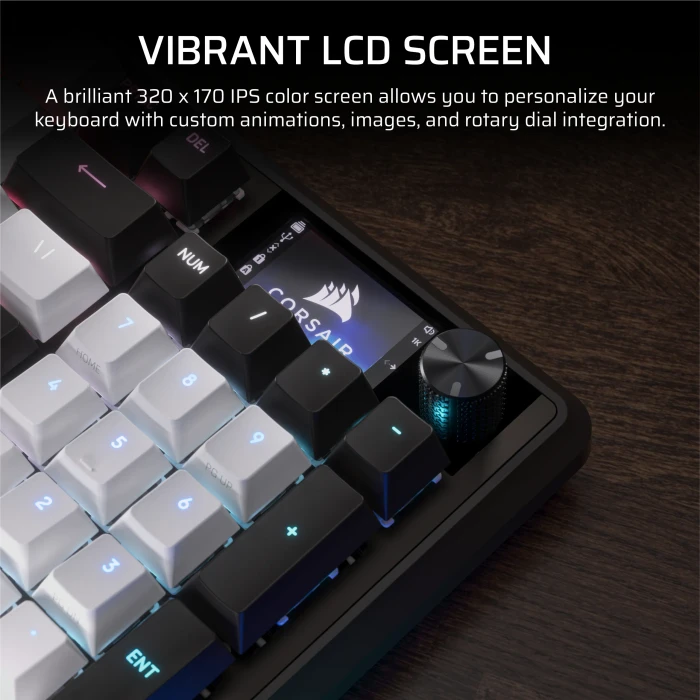 Corsair Vanguard 96, schwarz/weiß, LEDs RGB, MLX Plasma, USB, DE