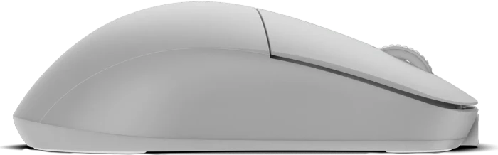 Endgame Gear XM2w 4k Wireless Gaming Mouse White Frost, USB