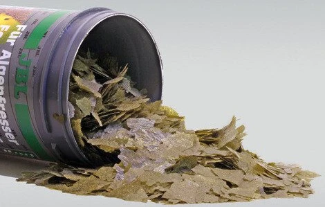 JBL Spirulina Premium Hauptfutter für Algenfresser, 160g, 1l