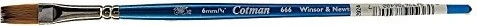 Winsor & Newton Series 666 Cotman Watercolour Brush One Stroke 6mm