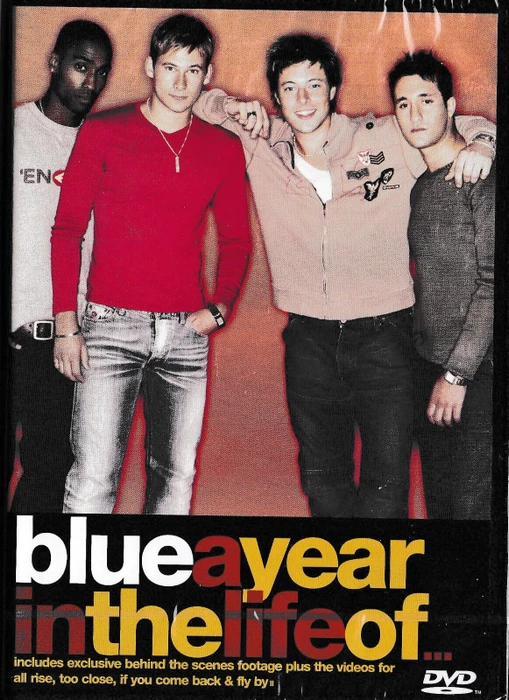 Blue - A Year In The Life Of Blue (DVD)