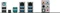 ASUS X99-M WS/SE (Intel 2011-3) Vorschaubild