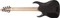 Ibanez RG9PB TGF Transparent Gray Flat Vorschaubild