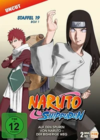 Naruto Shippuden Season 19.1 (DVD)