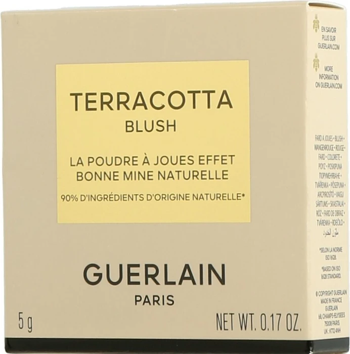 Guerlain Terracotta Terracotta Healthy Glow Blush Rouge