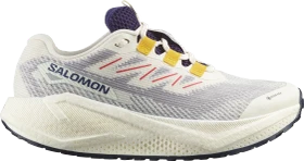 Salomon Aero Glide 3 GRVL GTX vanilla ice/astral aura/lemon (Damen)