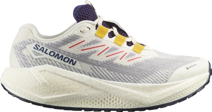 Salomon Aero Glide 3 GRVL GTX black/asphalt (Damen)