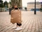 Golla Orion 15.6" Laptop-Rucksack, coffee Vorschaubild