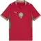 Puma FIFA WM 2026 Marokko Authentic Auswärtstrikot kurzarm fast red/victory gold (Junior) Vorschaubild