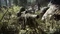 Call of Duty: Modern Warfare (2019) (Xbox One/SX) Vorschaubild