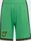 adidas Jamaika 26 x Bob Marley 2026 Heimshorts (Junior) Vorschaubild