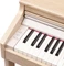 Roland RP701 Eiche Vorschaubild