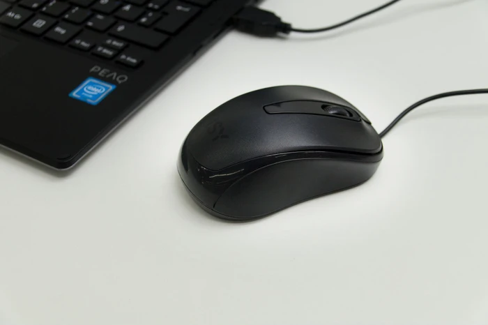 ISY ICM-1000 Optical Mouse schwarz, USB