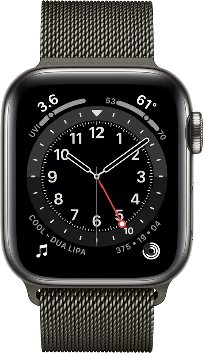 Apple Watch Series 6 (GPS + Cellular) 40mm Edelstahl graphit mit Milanaise-Armband graphit