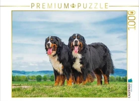 Calvendo Zusammen durch dick und dünn - zwei Berner Sennenhunde