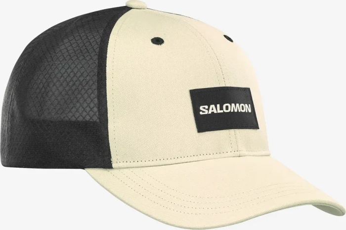 Salomon Trucker Carved Kappe rainy day/deep black