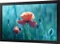 Samsung QB13R-M, 13" Vorschaubild