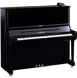 Yamaha YUS3 SH (verschiedene Farben)