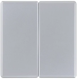 REV Ritter Quadro Abdeckung für Serien-/Wechsel-/Wechselschalter, silber