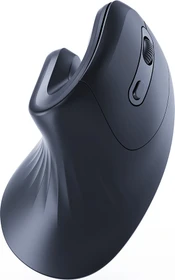 Gembird Ergonomic 6-Button Wireless Optical Mouse ERGO-03 schwarz, USB