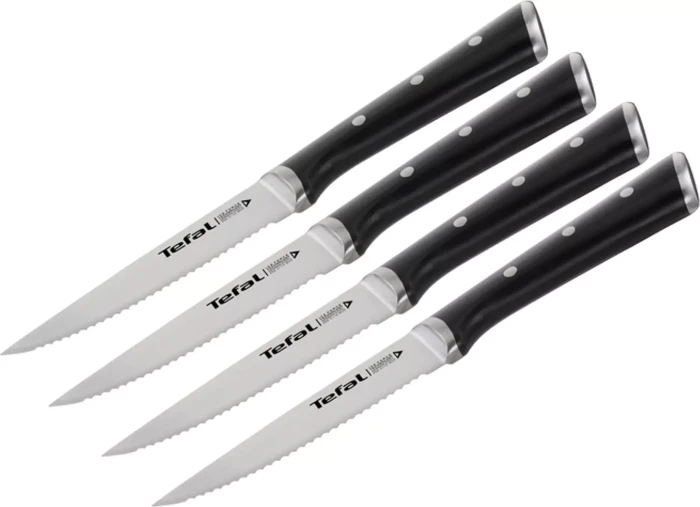Tefal K232S4 Ice Force Steakmesser, 4 Stück