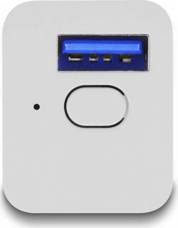 DeLOCK WLAN EasyUSB Smart Schalter MQTT, 1x USB-A