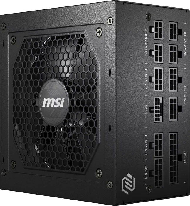 MSI MAG A750GL PCIE5 750W, ATX 3.1, UK-Version