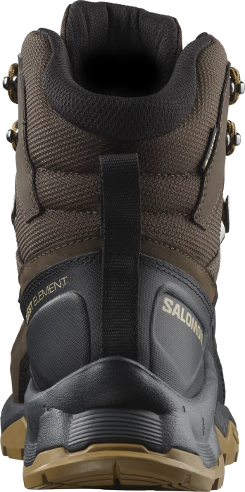 Salomon Quest Element GTX delicioso/black/dull gold (Herren)