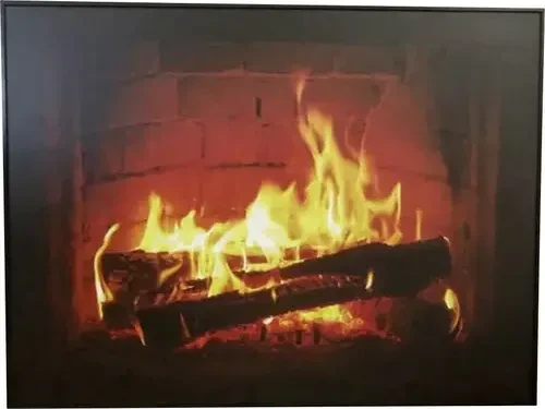 Siku Infraplate Pro IPP 450 Fireplace Infrarotheizung