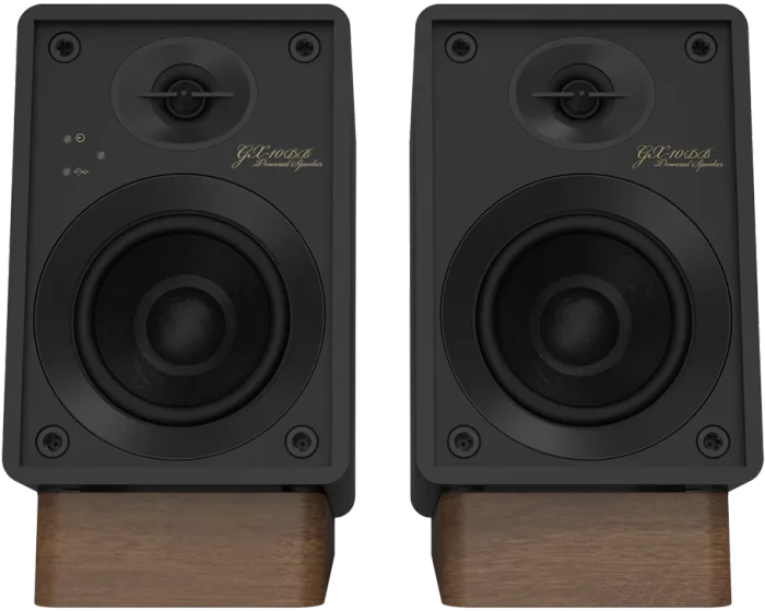 Onkyo GX-10DB schwarz, Paar