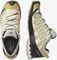 Salomon XA Pro 3D V8 frozen dew/blooming dahlia/vanilla ice (Damen) Vorschaubild