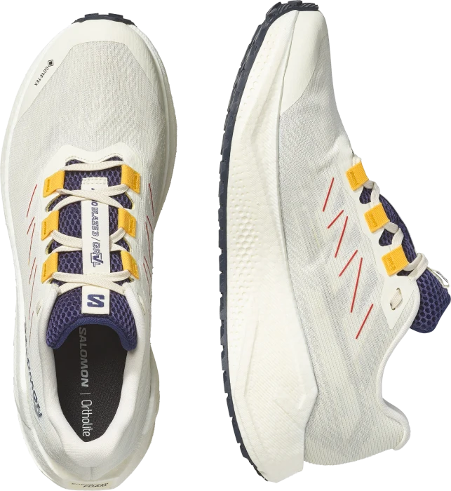 Salomon Aero Blaze 3 Grvl GTX vanilla ice/astra aura/lemon (Herren)