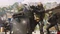 Call of Duty: Modern Warfare III (2023) (PS5) Vorschaubild