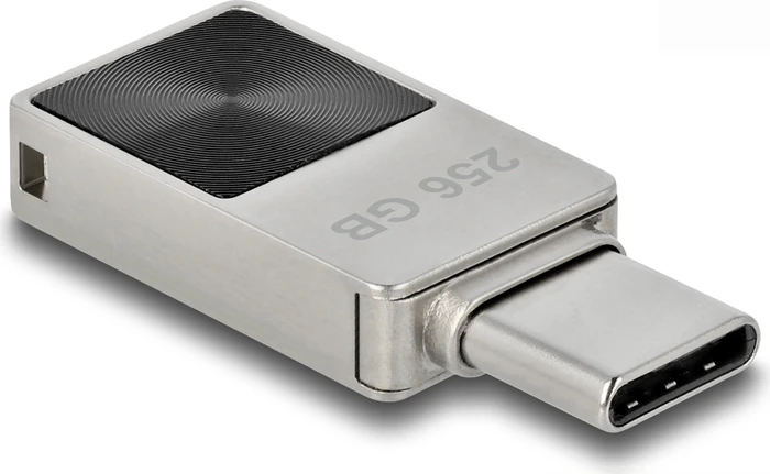 DeLOCK Mini USB-C Stick 256GB, USB-C, USB 3.2 Gen 1×1