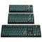 Glorious GPBT Basics Keycaps, Kunststoff (PBT), Totem Green, grün, 130 Tasten, ANSI-US Vorschaubild