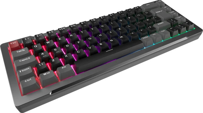 Raijintek MGA-68 Magnetic Switch Keyboard, schwarz, LEDs RGB, Hejin Magnetic Yellow, USB, DE