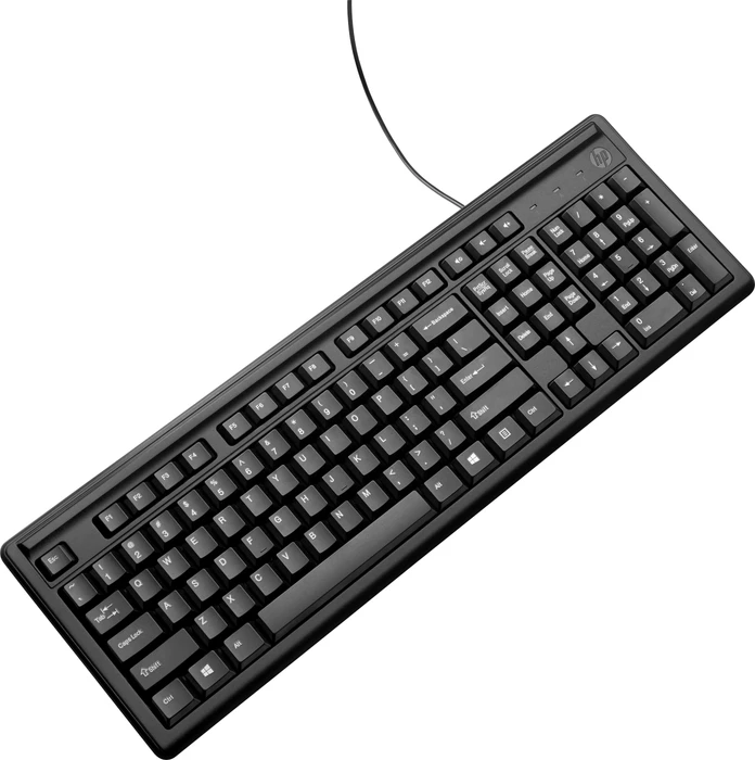 HP Tastatur 100, schwarz, USB, FR