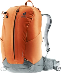 Deuter AC Lite 23 chestnut/teal