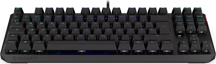Endorfy Thock TKL, PBT, LEDs RGB, Kailh RED, USB, DE